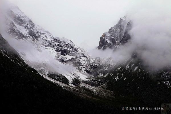 阿尔的派对夜