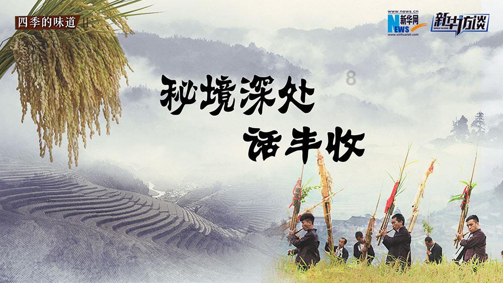 全民烧脑3去广告版