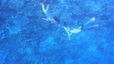 快船队遭受伤病打击,祖巴茨右小腿拉伤后复查待定